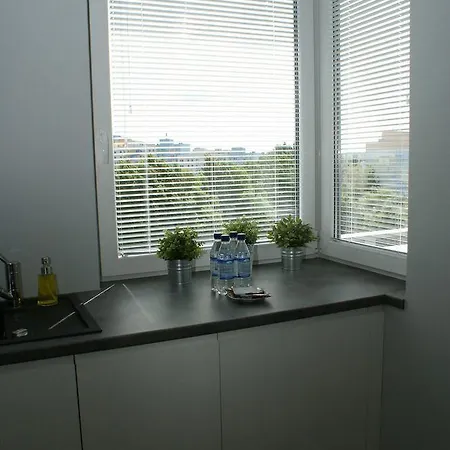 Irs Royal Irs Aviator