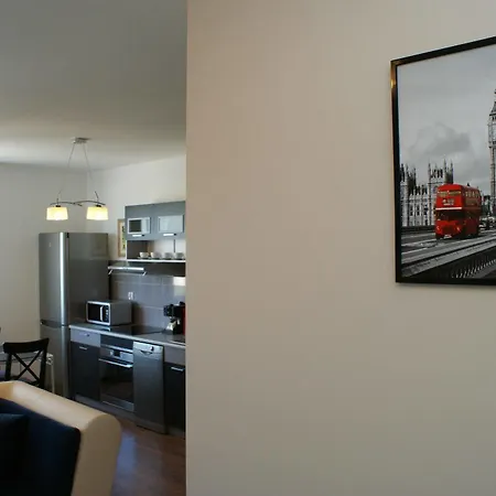 Irs Royal Irs Aviator *