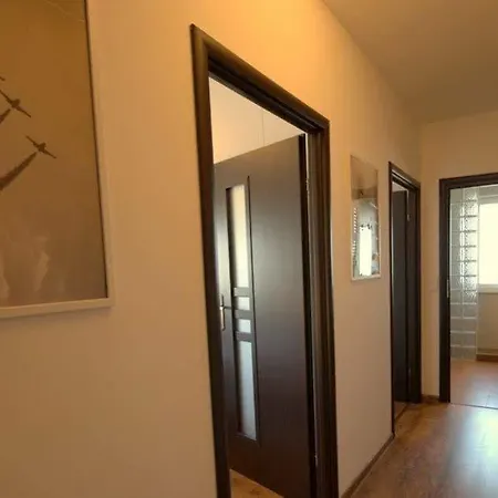 Irs Royal Irs Aviator