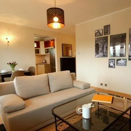 Irs Royal Irs Aviator